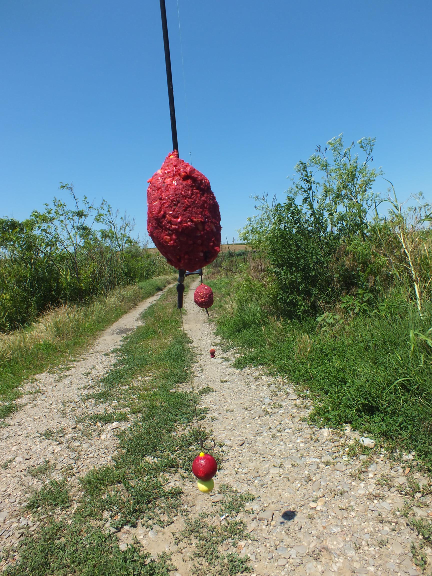 Sulimanu 28 - 29 iunie 2014 - dscf4301.JPG